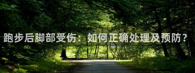 321體育五大聯賽：跑步后腳部受傷：如何正確處理及預防？